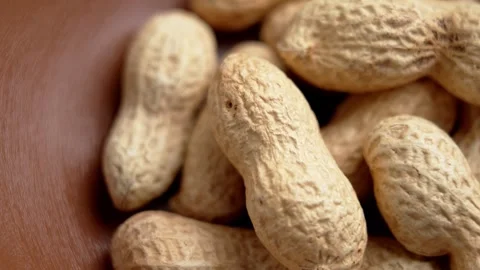 Whole peanuts in shell inside kitchen bowl Stock Footage 331343305