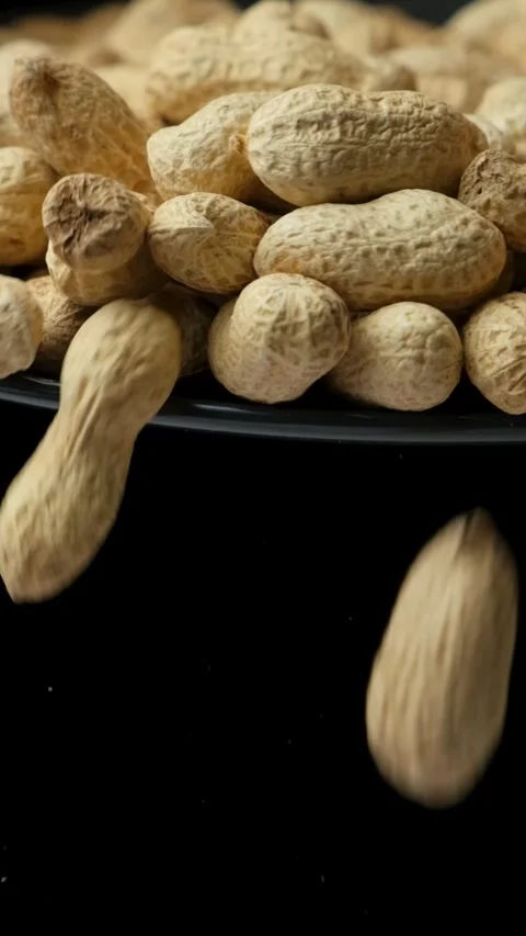Whole Peanuts in Shell Pour Vertical Slow Motion Close-Up Video stock 305830207