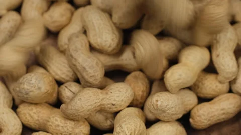 Whole peanuts in shells falling down in wooden bowl Stock Footage 305023333
