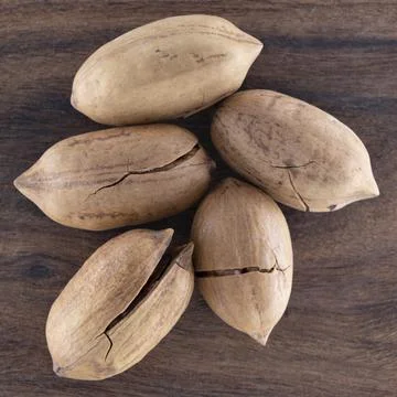 Whole pecan nuts Stock Photos