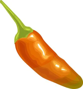 Whole pepper tabasco. Vector color illustration isolated on white background. Illustrazione stock