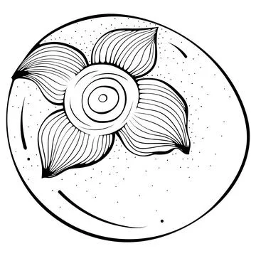 Whole persimmon front side line art Stock Illustration