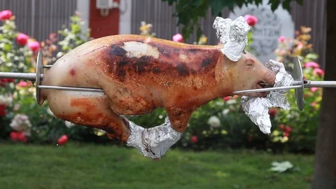 Whole pig on the grill	 Stock Footage 124009366