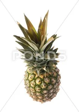Whole pineapple isolated over white background Stock Photos