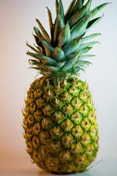 Whole Pineapple Foto stock