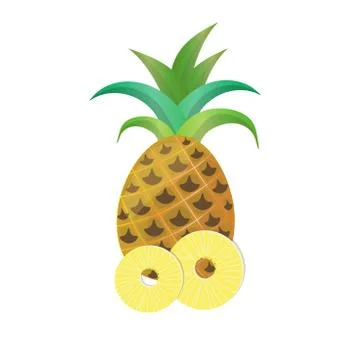 Whole pineapple with ring slices isolated on white background. Stock Illustration