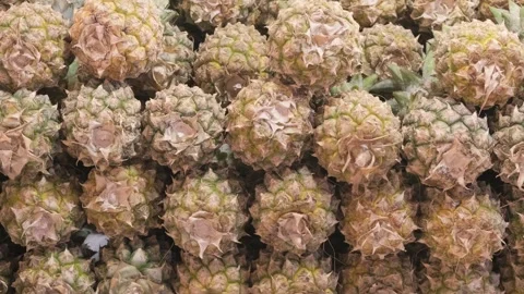 Whole pineapples stacked 스톡 동영상 276108210