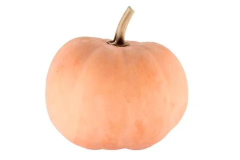 Whole pumpkin Stock Photos