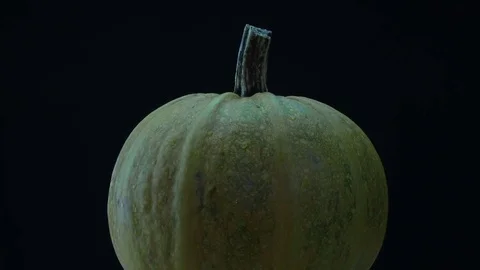 Whole pumpkin rotations 스톡 동영상 81859863