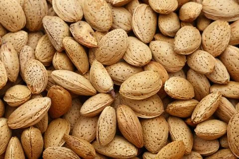 Whole raw almond nuts in nutshells close up Stock Photos
