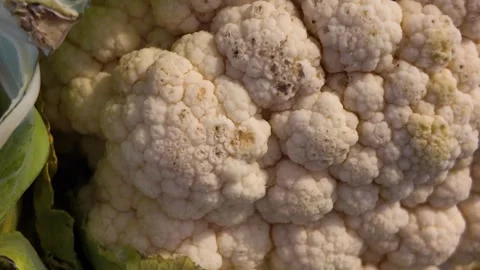 Whole raw cauliflower on kitchen countertop side view 스톡 동영상 342716870