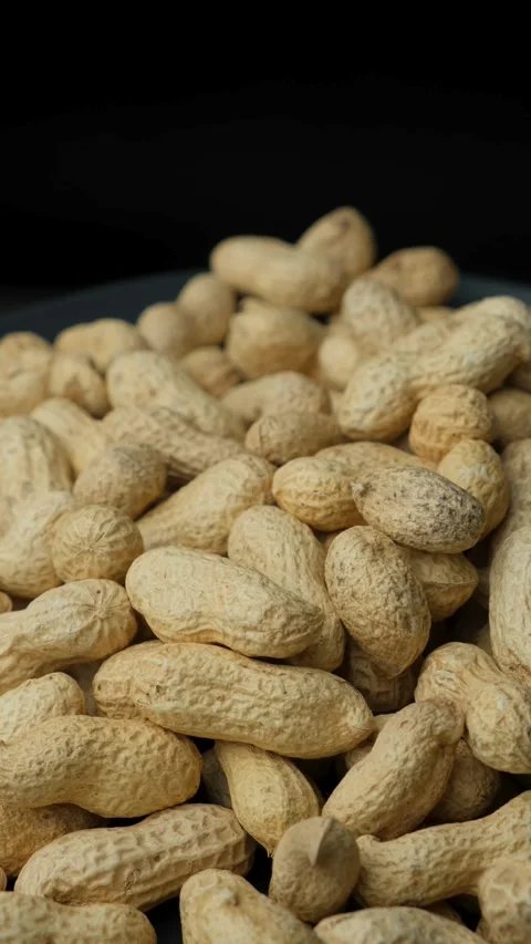 Whole Raw Peanuts in Shell Close-Up Vertical Video Stock Footage 306055650