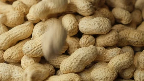 Whole Raw Peanuts in Shell Pour Slow Motion Close-Up Video stock 305830087