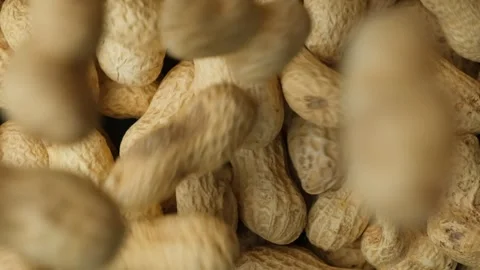 Whole Raw Peanuts in Shell Pour Slow Motion Top View Stock Footage 305831119
