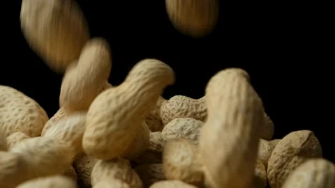 Whole Raw Peanuts in Shell Pour Slow Motion Close-Up Stock Footage 306055820