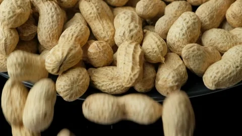 Whole Raw Peanuts in Shell Pour Slow Motion Close-Up Video stock 308028449