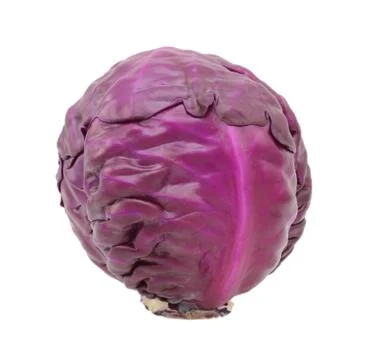 Whole raw red cabbage Stock Photos