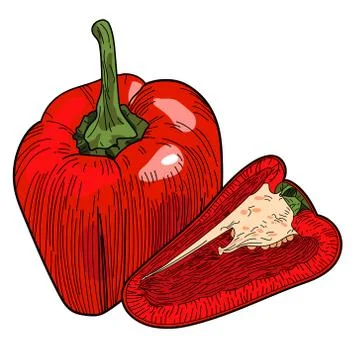 Whole red bell pepper with half isolated on white background. Stock Illustration