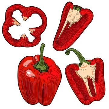 Whole red bell pepper with half isolated on white background. Stock Illustration
