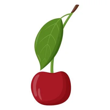 Whole red cherry with green leaf isolated on white background. Flat vector il Illustrazione stock