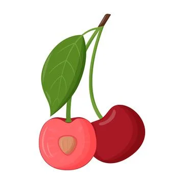 Whole red cherry with green leaf isolated on white background. Flat vector Illustrazione stock