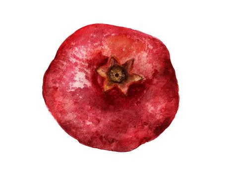 Whole red pomegranate Stock Illustration
