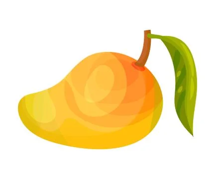 Whole ripe mango with a leaf. Vector illustration Illustrazione stock