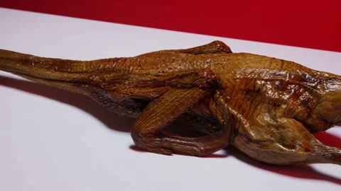 Whole roasted duck rotating on white and red background Stock Footage 328074120
