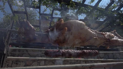 A Whole Roasted Lamb On A Spit 스톡 동영상 75163647