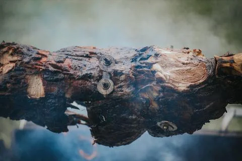 Whole roasted lamb on a spit over an open flame, smoke rising in the backgr.. Stock Photos