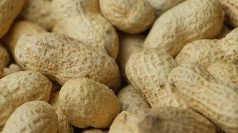 Whole Roasted Peanuts in Shell Close-Up Video stock 305829814