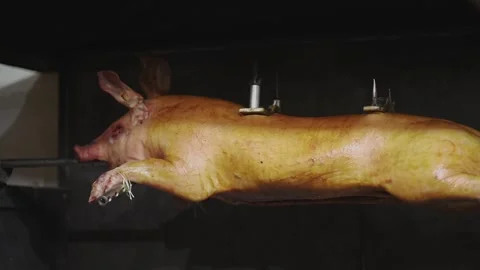 Whole roasted pig on spit prepared at Mittelalterlicher Weihnachtsmarkt Stock Footage 334237599