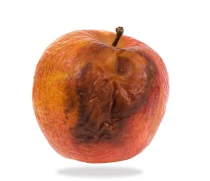 Whole single decayed bad red apple Stock Photos