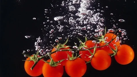 Whole Tomatoes Falling Through Water. Видео 72841382