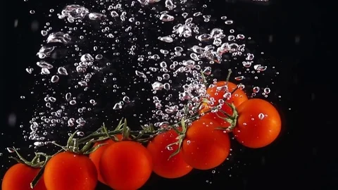 Whole Tomatoes Falling Through Water. Stock Footage 74557203