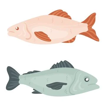 Whole tuna fish Stock Illustration
