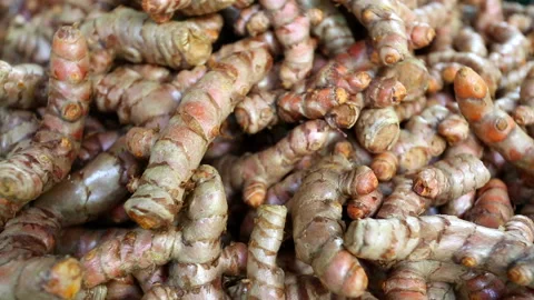 Whole turmeric root spice Stock-Footage 159141767