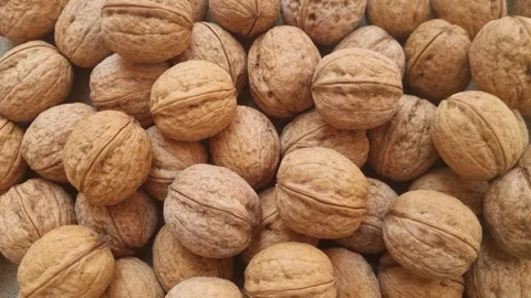 Whole unshelled walnuts in close-up Stock Footage 311802893