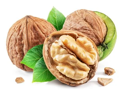 Whole walnut and walnut kernel with leaves isolated on white background. Stock Photos