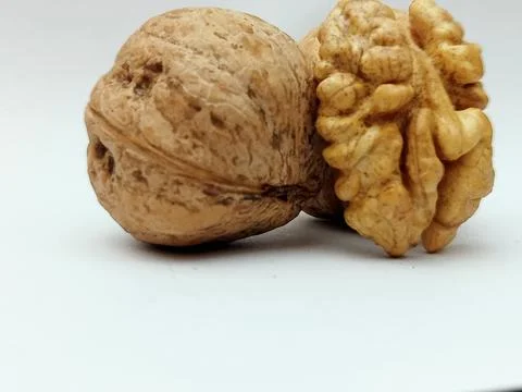 Whole walnut and walnut kernel isolated on white background Stock Photos