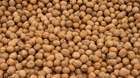 Whole walnut background Stock Photos