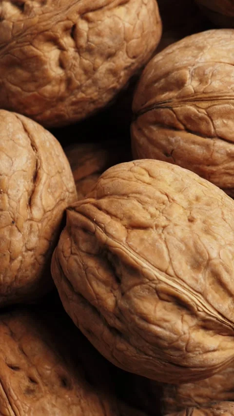 Whole Walnut closeup. Rotating nuts background, nobody. Vertical Stock Footage 311063292