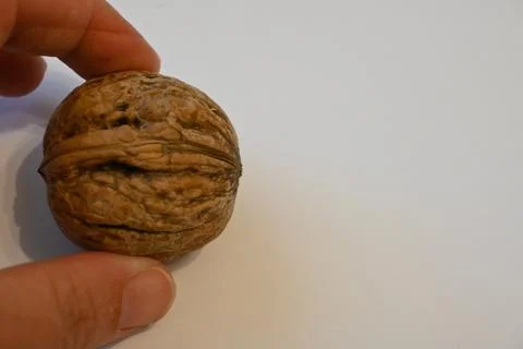 Whole walnut held between fingers Stockfoto's