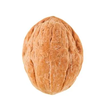 Whole walnut isolated Stock Photos