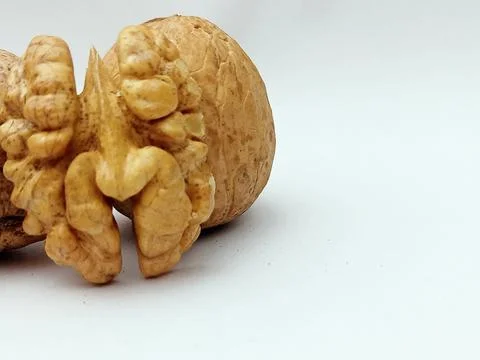 Whole Walnut with Kernel Close Up on White Background Stock Photos