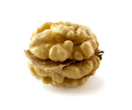 Whole walnut kernel isolated on white background. Walnut without shell, clean Stock Photos