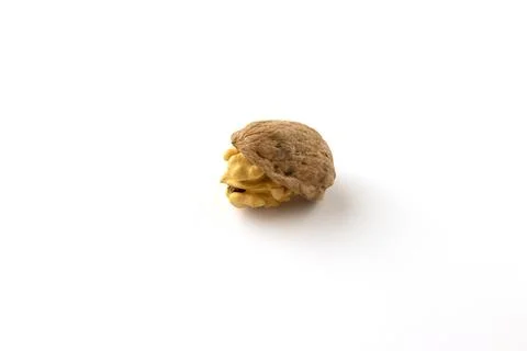 Whole walnut kernel with shell on a white background. 스톡 사진
