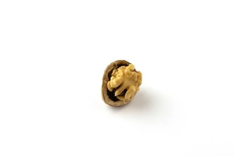 Whole walnut kernel with shell on a white background. Stock Photos