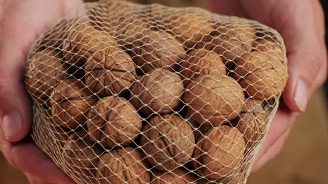 Whole walnut in a mesh bag close-up. Man holding a bag with nuts in hands Stock Footage 273722604