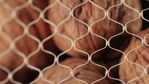 Whole walnut in a mesh bag rotating on wooden desk close-up macro. Walnuts in a Stock Footage 258372277